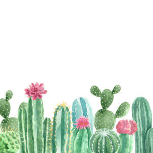 Cactus aquarel pink Bloemen en planten Behang