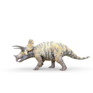 Triceratops Dieren Behang