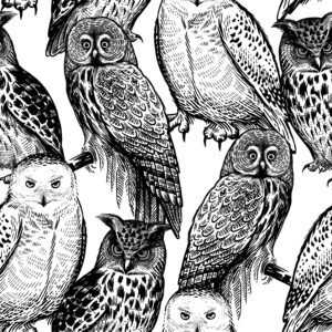 Owls black and white Dieren Behang