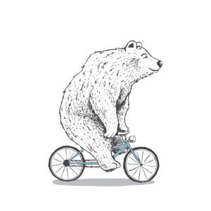 Bear on a bicycle Dieren Behang