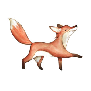 Cute fox Dieren Behang