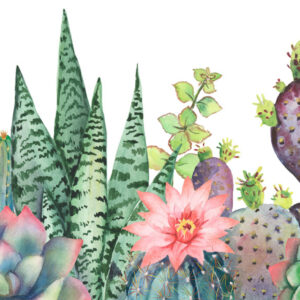 Cactus aquarel Bloemen en planten Behang