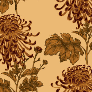 Chrysant brown Bloemen en planten Behang