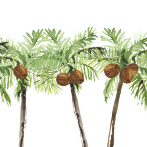Coconut Natuur Behang