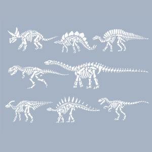 Dinosaurs fossils Dieren Behang