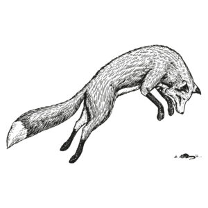 Jumping fox Dieren Behang