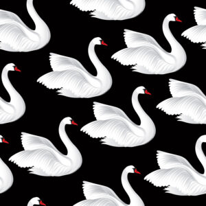 Swimming swan Dieren Behang