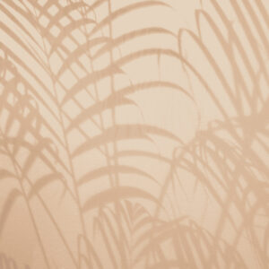 Shadow of palm leaf Bloemen en planten Behang