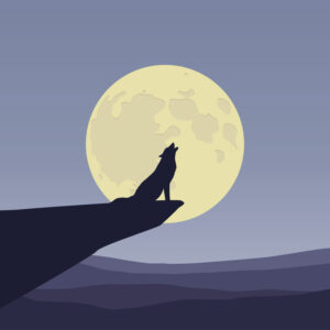 Wolf at full moon Dieren Behang