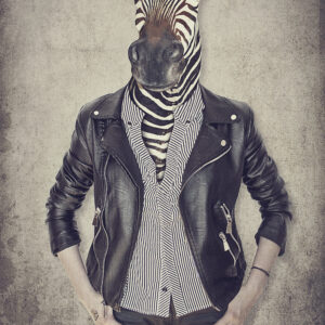 Zebra in kleren Dieren Behang