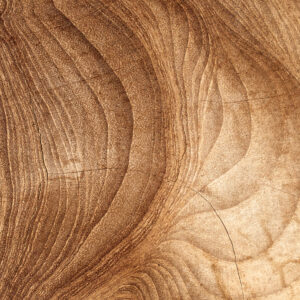 Wood texture Structuur Behang