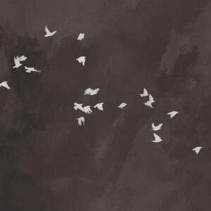 Witte vogels behang van Muance - Cherry Flight